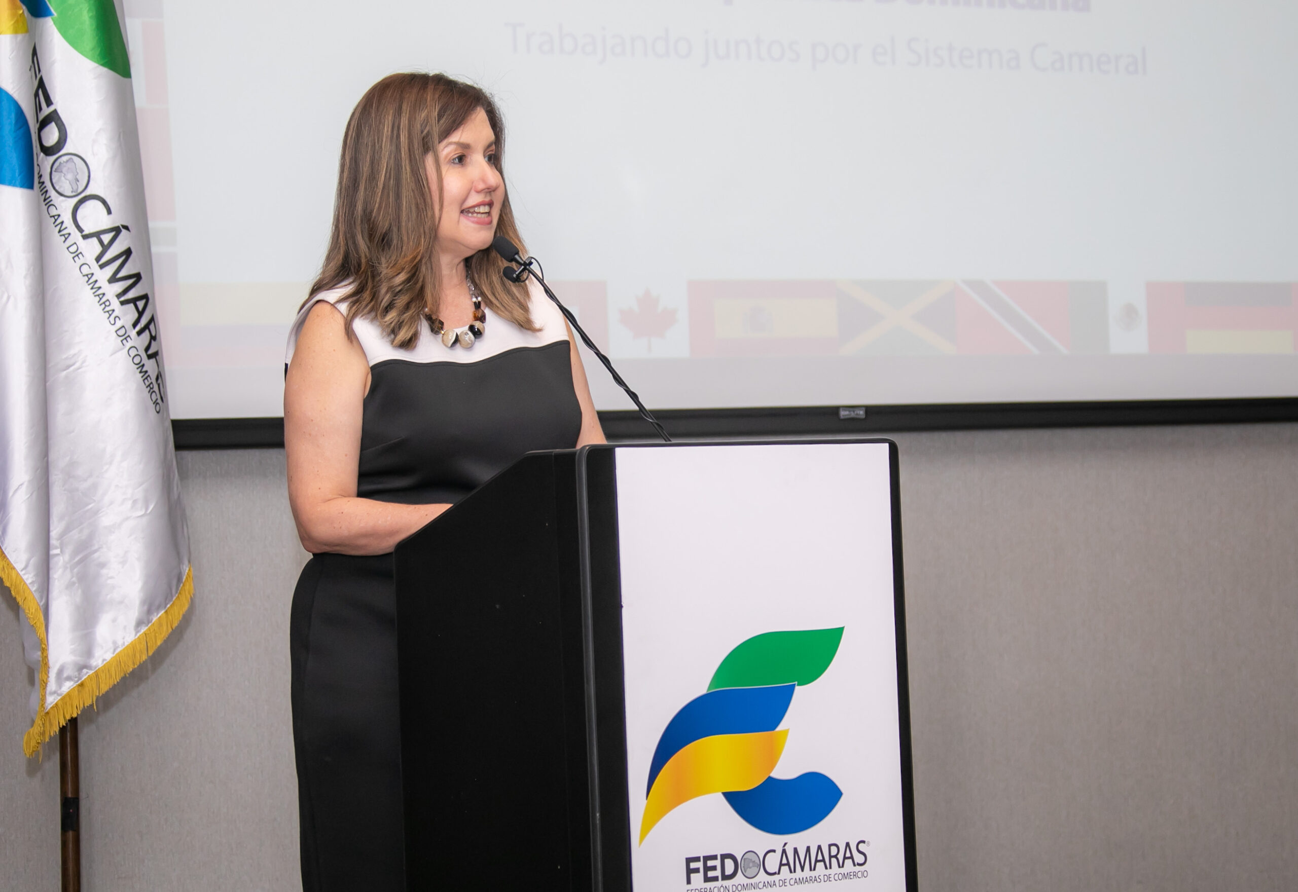 Cámara de Santo Domingo y su centro de controversias valoran nueva ley